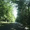 Locust Lake State Park, Barnesville PA