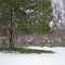 Middlebush Cemetery
