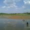 Drought at Purtis Creek