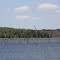 Purtis Creek state park