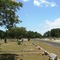Liberty Hill Cemetery