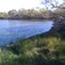 Daughtrey WMA Oasis for Wildlife