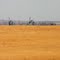 Hanford grasslands and nuclear reactors