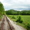 Open Fields