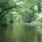 Spring Creek