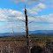 Looking east toward Little Frog Mountain