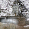 water hole