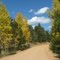 Rampart Range Road