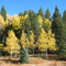 Farish Recreation Area