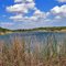 Retension Pond View