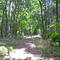 White Plains Greenway