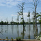 Robert G. Delaney Lake