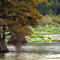 Horseshoe Lake