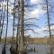Lake Horseshoe