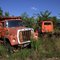 Truck graveyard