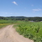 Organic farm Millerton