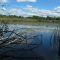 Thompson Pond