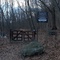 Lake Trail