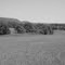 Stissing Mountain from the Buttercup Preserve, NY