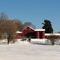 Red Barn In Winter
