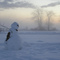 Pineplains News Years Snowman