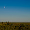 Moon over Laguna Atascosa Wildlife Refuge