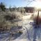 Cold New Hampshire Morning