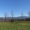 Mt. Cardigan Canaan New Hampshire