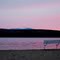 A Lake Awake