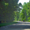USA - VA - on Colonial National Historic Parkway between Williamsburg and Yorktown