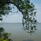 York River