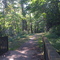 Issaquah-Preston Trail end at Preston