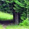 Issaquah High School Trail