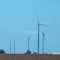 Wind Farm 160 of them between Lyford Tx and Ramondville Tx