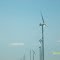 Wind Farm, Rio Grande Valley