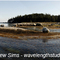 Maine Coast Seaweed
