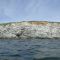 Hardhead Island, Penobscot Bay, Maine