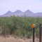 Las Tres Hermanas (The Three Sisters)