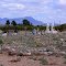 Valley Heights Cemetery, Columbus, New Mexico