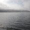 Foggy Morning