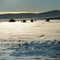 ElevenMile Hard water Fishing