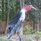 Bird Schulpture   # 4...Bird Sanctuary...Swainsboro, Georgia