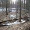 Iron Hill Park