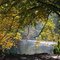 #2 NPC - Autumn Foliage along the Cullasaja River, one of the shortest rivers in the world - USA