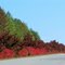 Merle Dryman Parkway In Autumn (i)