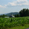 Mt. Ascutney from North Hartland