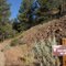 Cole Loop trail (fun singletrack downhill portion)