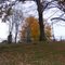 Oakwood Cemetery on 322 between Franklin & Cochranton