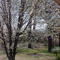 Spring Time in NorthEast Texas