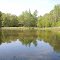 Tout Pond ~ Bob Sandlin State Park